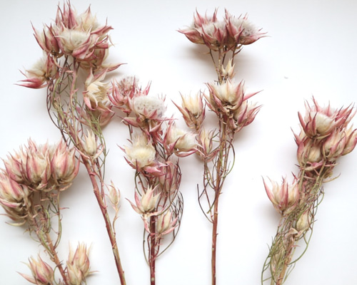 0_24eb25c843e970558d74d508c3dd