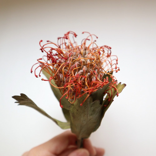 専用✨迎春2022✨正月飾り ピンクッション  (ドライ) 楽天市場】正月飾り 玄関 モダン 正月 花 玄関飾り 季節