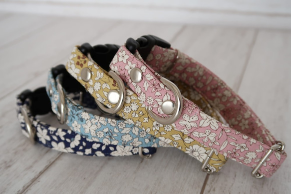 モダンクリアカフェリード 