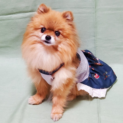 CanNana 犬 服 犬の服 春夏 さくらんぼギンガムワンピース