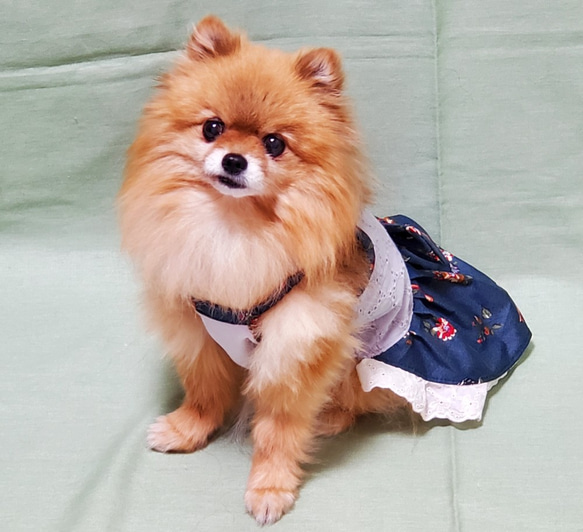 【オーダー】 犬猫用  キャミワンピ お花柄 可愛い　わんこ服　犬服　濃紺緑花 2枚目の画像