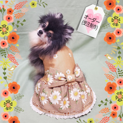 【オーダー】犬猫服  ワンピース お花柄 可愛い　わんこ服　犬服　黃マーガレット 1枚目の画像