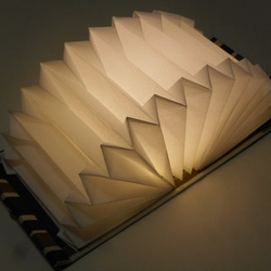 絵本の読み聞かせにピッタリ～ブック型照明「Shell-Light」/キリン模様 2枚目の画像
