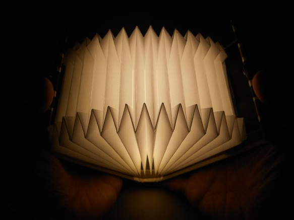 ブック型ライト「Shell-Light」-ダークウッド 2枚目の画像