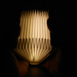 ブック型ライト「Shell-Light」～リバティ／エミリアス・パープル 2枚目の画像