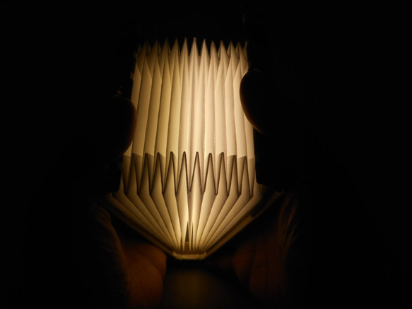 ブック型ライト「Shell-Light」～リバティ／エミリアス・パープル 2枚目の画像