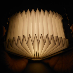 ブック型ライト「Shell-Light」／Oslo Sazanami　 3枚目の画像