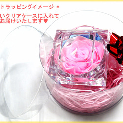 【AFP】パール入り　ミニプリザーブドフラワー　ダイヤモンド型　アクリルボックス　薔薇　ピンク　knj-001p 4枚目の画像