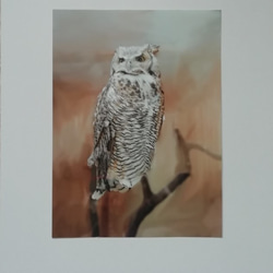2. owl 【額なし】 インクジェット印刷　厚手マット紙使用　２Lサイズ 1枚目の画像