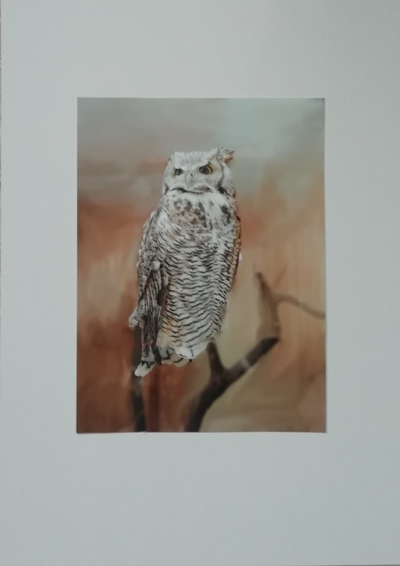 2. owl 【額なし】 インクジェット印刷　厚手マット紙使用　２Lサイズ 1枚目の画像