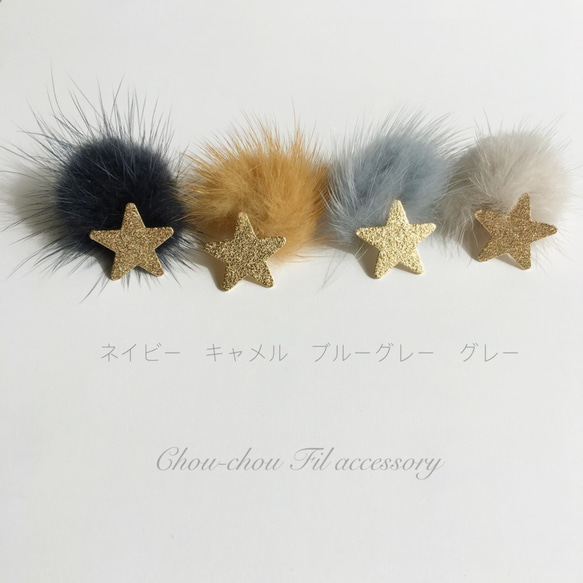 2way star＆far earring 1枚目の画像