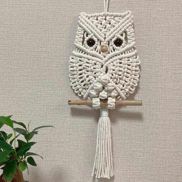 macramé✳︎マクラメ編み フクロウタペストリー 流木
