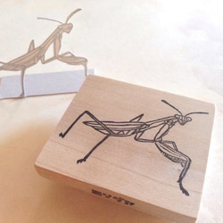 虫はんこさん、専用 虫はんこさん、専用 虫はんこさん、専用