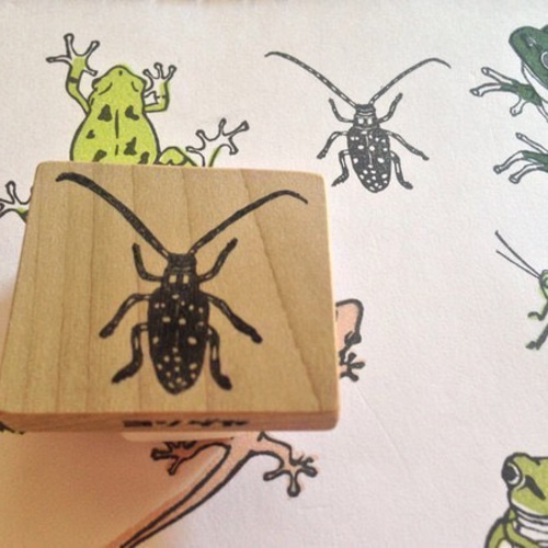 リアルな虫シリーズ カミキリムシはんこ はんこ・スタンプ