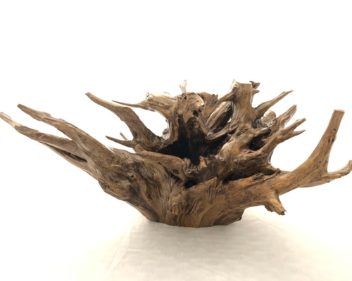 自然木(置物A) その他インテリア雑貨 littleboss 通販 12221843