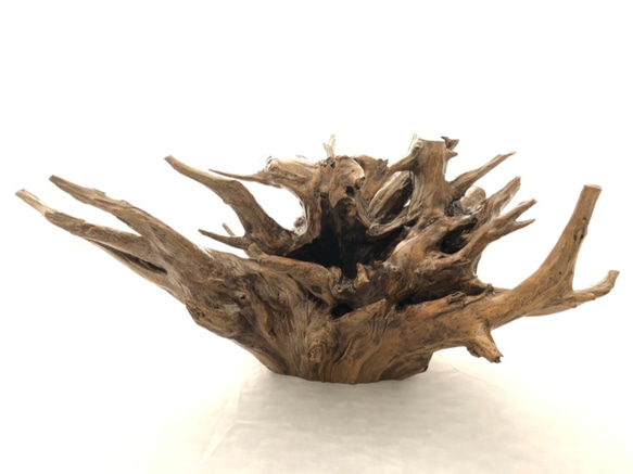 天然木 オブジェ 根っこ ③ 自然木(置物A) その他インテリア雑貨