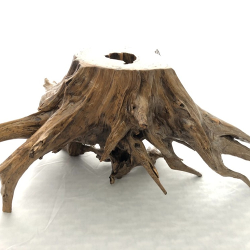 自然木(置物A) その他インテリア雑貨 littleboss 通販 12221843