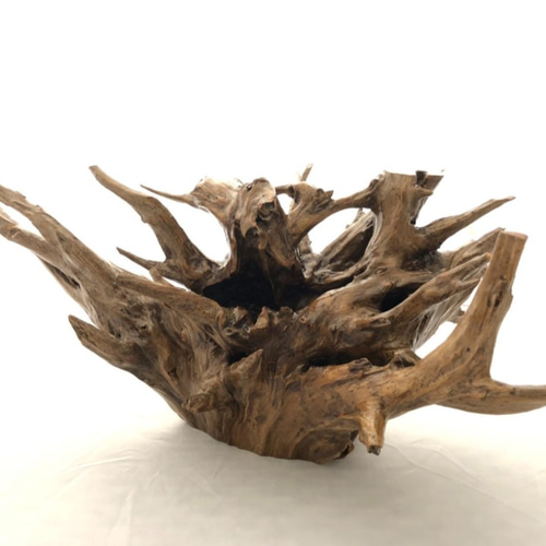 天然木　置物 自然木(置物A) その他インテリア雑貨 littleboss 通販 12221843