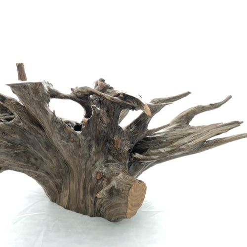 自然木(置物A) その他インテリア雑貨 littleboss 通販 12221843