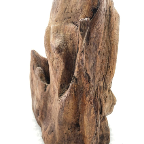自然木(置物c) その他インテリア雑貨 littleboss 通販 12237423