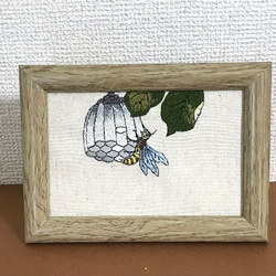 0_9f53c7f3428c9b5f08ac62dc232f