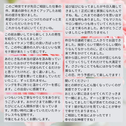 良縁♡ビジューラインネックレス♡恋愛成就や良縁のお守り♡シンプル デザイン ペンダント 6枚目の画像