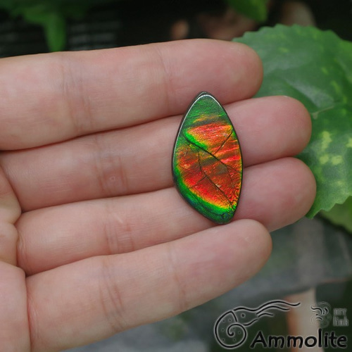 アンモライト ルース 化石 宝石 アラゴナイト Ammolite アンモライトルース(No.61710) – JEX宝石ギャラリー