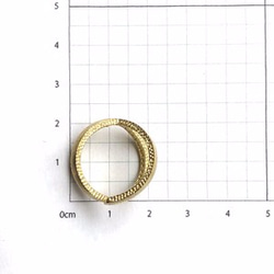 Ring 1000_6 5枚目の画像