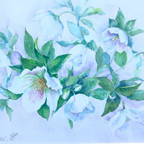 クリスマスローズの水彩画 絵画 D&L.Co 通販 5361394｜Creema
