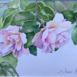 椿の水彩画 絵画 D&L.Co 通販 5361428｜Creema(クリーマ)
