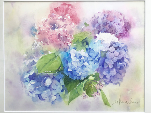 透明水彩画 紫陽花（あじさい）F10サイズ 額縁付 原画 新築
