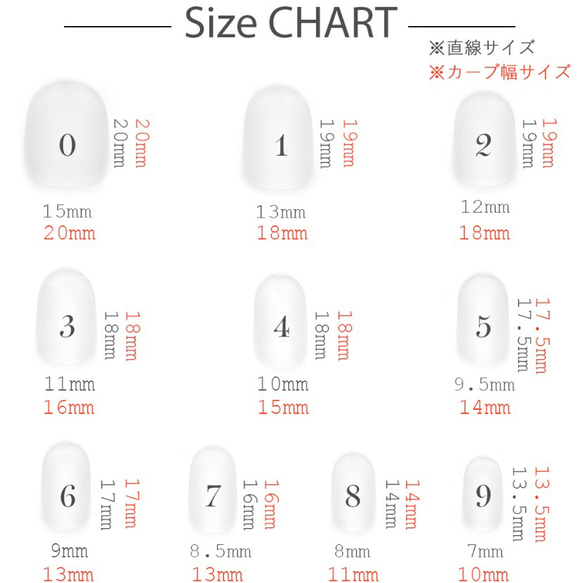 ネイルチップサイズ表　ショートラウンド 2枚目の画像