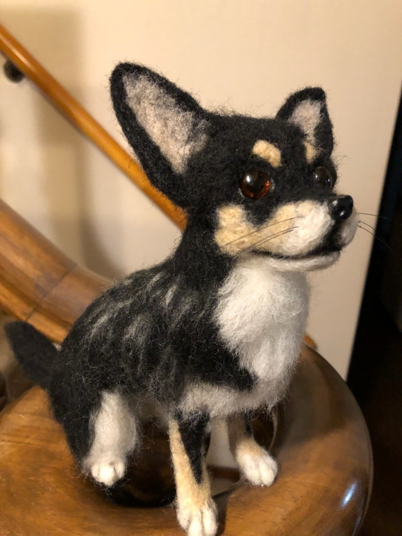 愛犬ちゃんのそっくりなリアルなペット人形をお作りします！　羊毛フェルト　犬　オーダー　ぬいぐるみ　犬　　ペット　リアル　 5枚目の画像