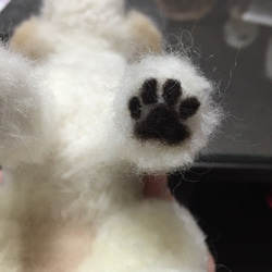 愛犬ちゃんのそっくりなリアルなペット人形をお作りします！　羊毛フェルト　犬　オーダー　ぬいぐるみ　犬　　ペット　リアル　 8枚目の画像