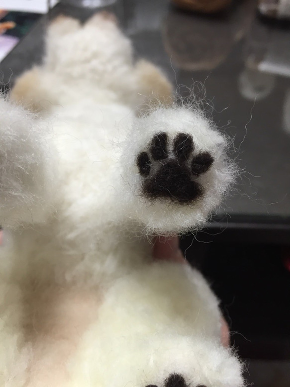 愛犬ちゃんのそっくりなリアルなペット人形をお作りします！　羊毛フェルト　犬　オーダー　ぬいぐるみ　犬　　ペット　リアル　 8枚目の画像