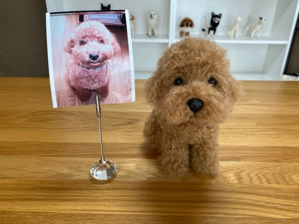 愛犬ちゃんのそっくりなリアルなペット人形をお作りします