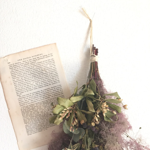 スモークツリー　リース　スモークツリーリース　スワッグ　ブーケ 楽天市場】スモークツリー（形態（フラワーアレンジメント