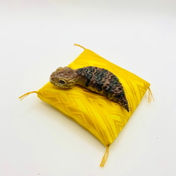 0_10a00d4e52a892a60f06eae9d78c