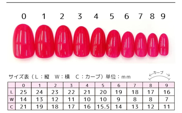  第6張的照片