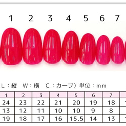 #4 人気No.1【再販決定】現役ネイリストデザイン/蝶々ネイル/ガラスフレンチ/トレンド/フレンチネイル 5枚目の画像