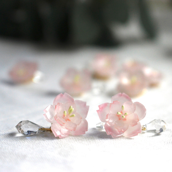 ✞『1粒ビジューピアス』ビジュー すれちがう 春 桜 