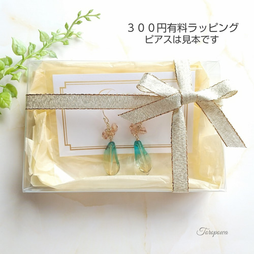 ゴールド ホ hoop ピアス ギフトボックス付き ゴールド ホ hoop ピアス ギフトボックス付き