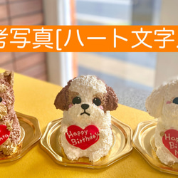 トイプードルの立体ケーキ　誕生日や記念日に　動物ケーキ　プレゼント　<ご希望のお日にち•時間帯をご指定下さい> 2枚目の画像