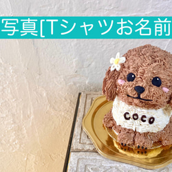 トイプードルの立体ケーキ　誕生日や記念日に　動物ケーキ　プレゼント　<ご希望のお日にち•時間帯をご指定下さい> 3枚目の画像