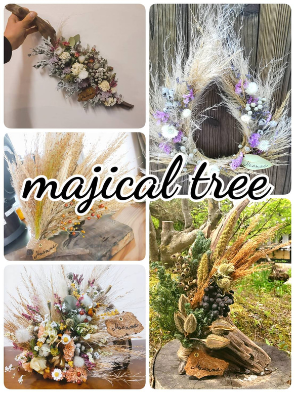 魔法の木　magical tree 2枚目の画像