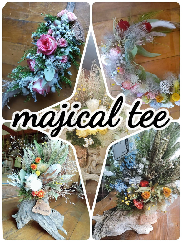 魔法の木　magical tree 3枚目の画像