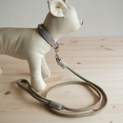 ライトグレーの牛革を使った小型犬用の首輪とリードのセット 4枚目の画像