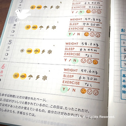 手帳スタンプ　ライフログ　英語版　鳥の葉工房 3枚目の画像