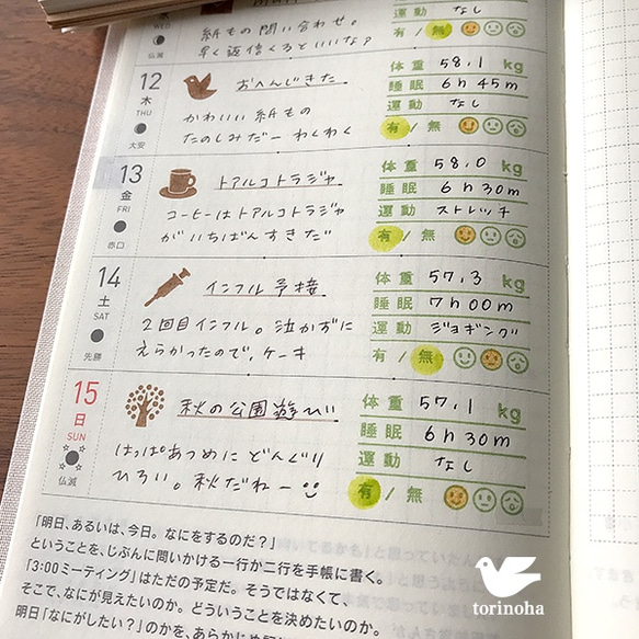 手帳スタンプ　ライフログ　日本語版　鳥の葉工房 2枚目の画像
