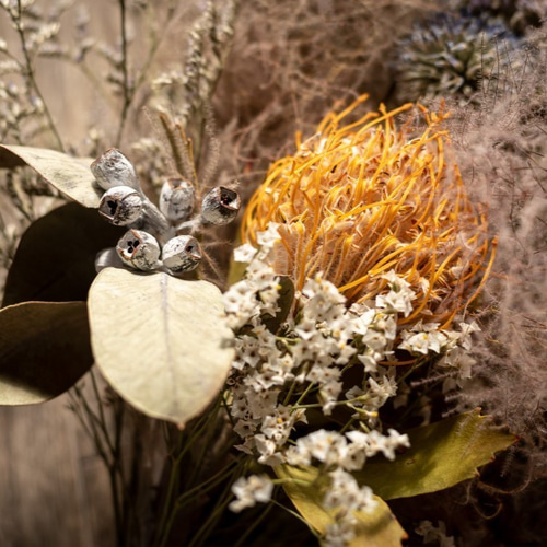 ピンクッションとユーカリのドライフラワースワッグ ドライフラワー